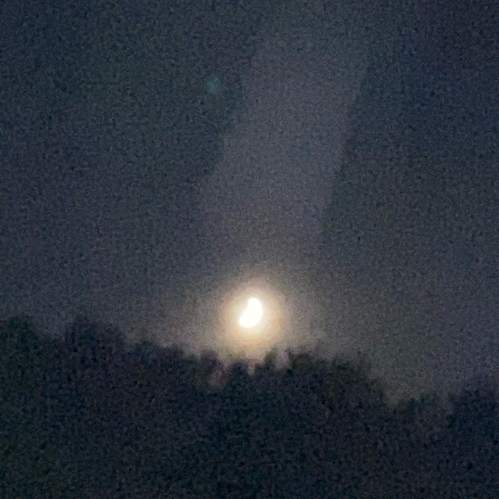 Meet your Posher, Marilee